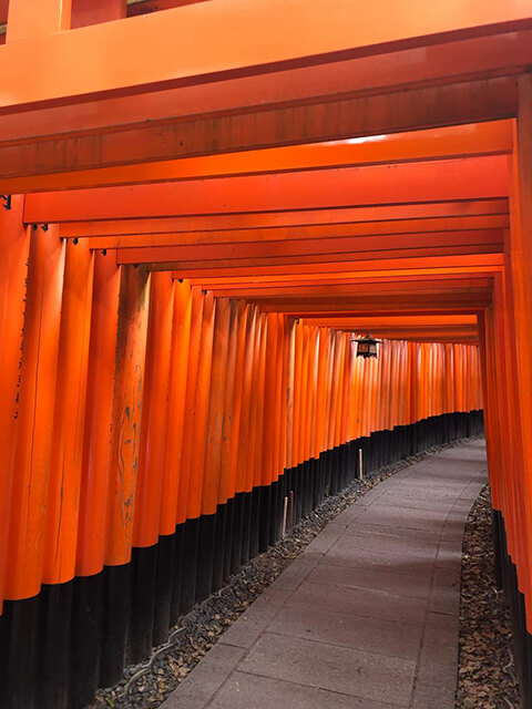 千本鳥居